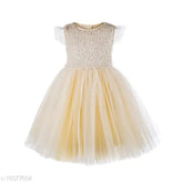 Golden net self-design party dress for kids aged 2-3 years, ideal for girls events