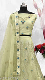 Green net embroidered Lehenga Choli Set with dupatta, free size for Indian traditional wear