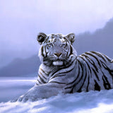 Tiger-pattern mobile case cover, high-quality, lightweight, fits all phone models, scratch and bump protection with camera access