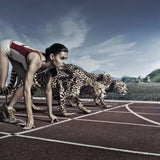 Cheetah print mobile case cover, lightweight and high-quality, fits all phone models, protects from scratches and chips