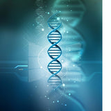 DNA Structure model phone case - 100% new, lightweight, protects from scratches and bumps, designed for all phone models