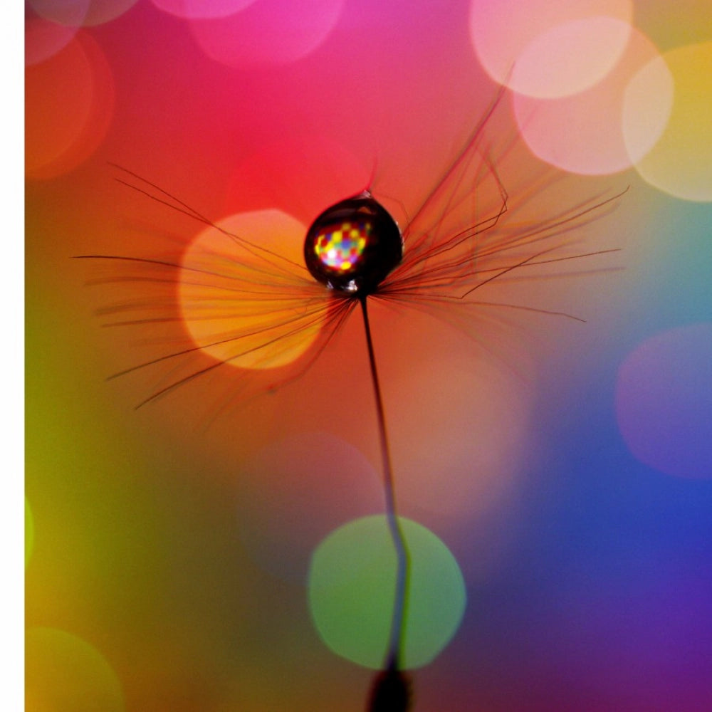 New 100% high-quality mobile case cover with girl portrait design, fits all phone models, protects from scratches and bumps
