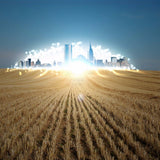 100% new, lightweight wheat land city landscapes mobile case. Protects phone from scratches and bumps with perfectly shaped holes for access." (89 characters)