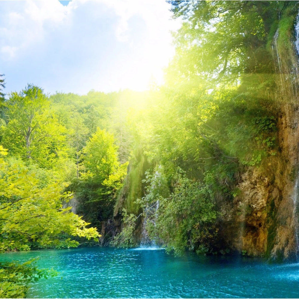 Natural forest sunrise mobile case cover, lightweight and high-quality for all phones, protects against scratches and bumps