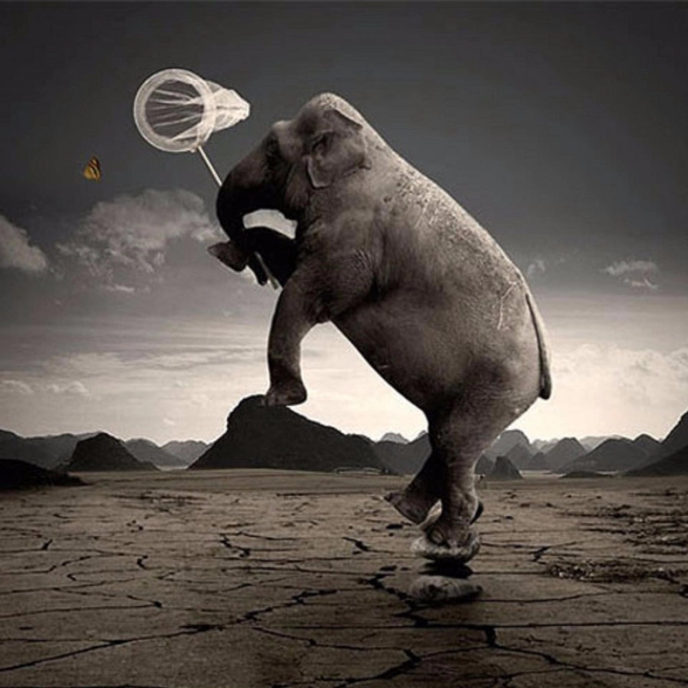 Elephant clip art lightweight mobile case cover for all phone models, protects against scratches and chips