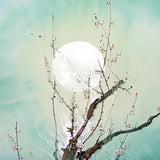 Graphic Design moon on light background mobile case cover, high-quality, fits all phones, protects from scratches & bumps with precise cutouts