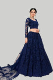 Bluepari embroidered net lehenga and choli set, semi-stitched Indian bridal wear adorned with stones and heavy cording