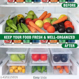 Transparent plastic storage containers for fish, meat, and fruits (1500ML each), pack of 6 for refrigerator use