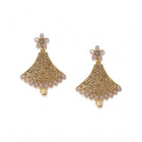 Rose gold plated alloy earrings for women, gold tone jewelry on display