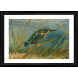 Multicolor wood-framed Kingfisher by the Waterside 1887 painting for wall mount, lightweight and vibrant artwork depicting bird by water