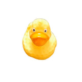 Assorted rubber Duck And Ducklin Family Chu Chu Toys for 6+ months bath play. Squeezable toys stimulate hearing, sight, touch, and cognition." (124 characters)