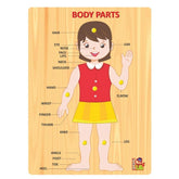 Wooden educational puzzle board for kids (3+ years), promotes learning about body parts with knobs in assorted colors