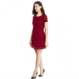Maroon Rasal solid round neck cap sleeve dress for women, knee length fashion dress on mannequin
