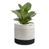 Cotton Large Woven Storage Basket 10x10 Inch Pack of 1 (White)