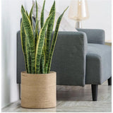 Cotton Large Woven Storage Basket 11x11 Inch Pack of 1 (Beige)