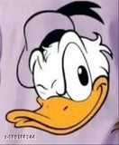 Oversized cotton blend printed t-shirt for women, vibrant design, short sleeves