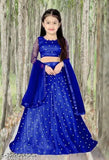 Acrylic and net fabric lengha choli set with abstract stitch embroidery, three-quarter sleeve for kids party wear