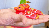 Red terracotta clay Lakshmi Charan Paduka handicraft for prosperity and wealth, Synthetic resin showpiece for Diwali puja (Set of 1)