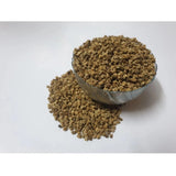 Organic beetroot microgreen seeds - easy-to-grow, nutrient-rich superfood for health-conscious consumers