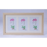 Multicolor acrylic cactus image frame with soft botanical artwork, suitable for tabletop or wall-mounting, blends seamlessly with contemporary, Scandinavian, or nature-themed interiors