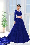 Embroidered net Aakarsha Graceful Lehenga set, semi-stitched (44in waist, 44in length), Indian embroidered dupatta
