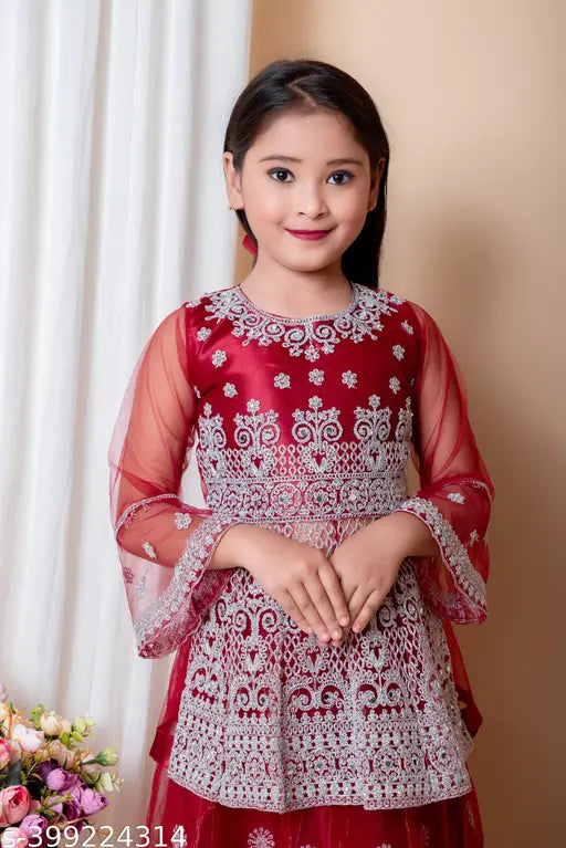 Maroon embroidered net lehenga choli, intricate work, perfect for parties or weddings