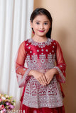 Maroon embroidered net lehenga choli, intricate work, perfect for parties or weddings