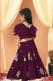 Embroidered Georgette Kids Lehenga Choli, Indian ethnic wear for girls aged 4-5 years, printed net style with sleeveless top and bottom in matching fabric