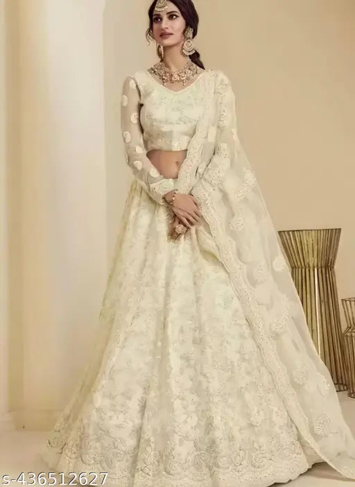 Luxury net lehenga choli with diamond embroidery, India