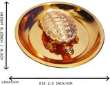Gold-plated brass fengshui tortoise figurine for home decor or office, 1 inch tall and wide, made in India