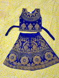 Velvet embroidered lehenga choli set for kids, sleeveless and stylish, 9-12 months size, Indian made