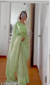 Mint green heavy embroidered net party wear traditional saree with separate Bangalore silk blouse, Indian handcrafted ethnic attire for festive occasions