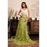 Women's Linen Cotton Printed Ready To Wear Saree With Unstitched Blouse 5.5 Mtr (Light_Green)