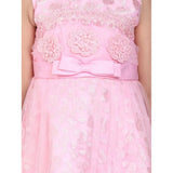 Pink net embroidered sleeveless dress for girls, round neck, zip closure, knee-length style