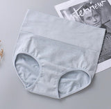 Women's High-Waisted Briefs Free Size (Multicolor)