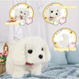 Multicolor cuddly walking & talking dog toy, safe for children (3+), stimulates sensory skills with built-in sound effects