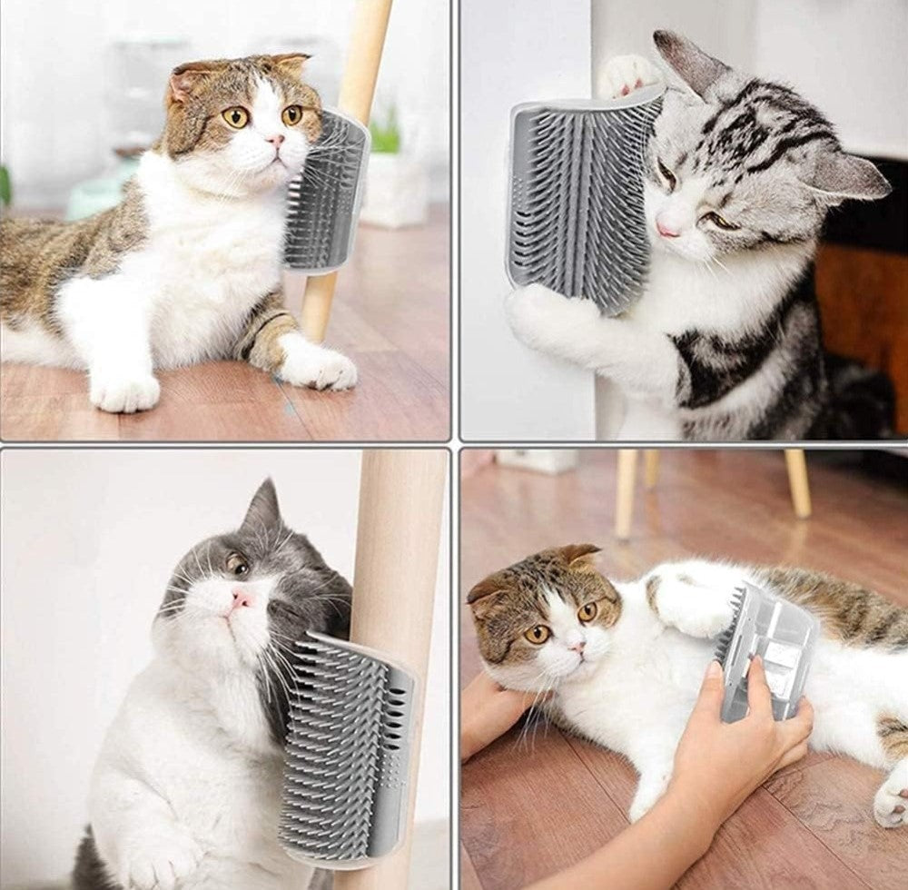 Multicolor silicone cat self-groomer station for gently removing loose fur and dirt from pets