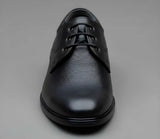 Men's Synthetic Leather Solid Lace-Up Formal Shoes (Black)