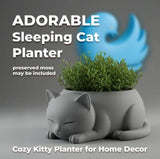 Plastic Adorable Sleeping Cat Planter (Only Planter) (Grey)