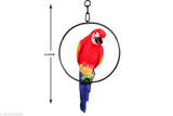 Poly resin parrot showpiece for garden decor, 12cm x 31cm x 16cm, Indian craftsmanship