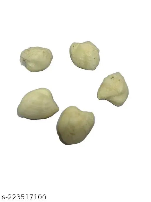 Natural white marble machh mani combo set (5 pieces, approx. 3g each), rare fish stone for astrological benefits and wellbeing, improves luck, charisma, healing, and peace with envious creatures