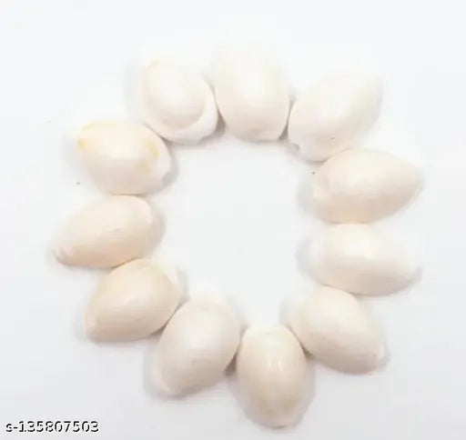 White ABS Aashirwad Collection KodiLaxmi Cowries for Lakshmi & Diwali Puja (Pack of 21)