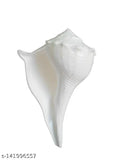 Natural marble Dakshinavarti Shankh Narayan Shank, small size non-blowing for Pooja