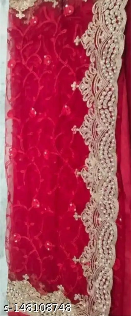 Red net saree with banarasi silk blouse, embellished with begumpuri net and diamond work, Indian traditional attire