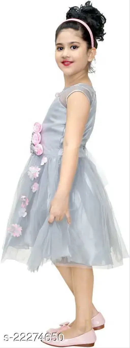 Silver net frock dress for girls, self-designed sleeveless style in single size (N), suitable for ages 2-3 years to 12-13 years. Indian origin