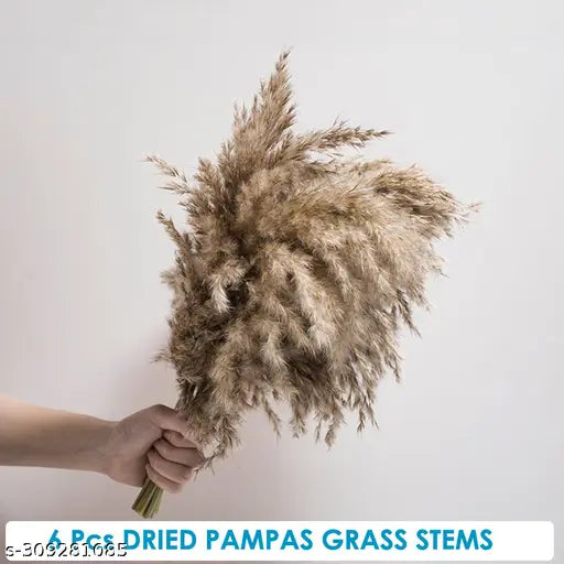 Natural light brown, fluffy Pampas grass (42cm x 7cm), no shedding or stench - premium home office decor for events & weddings
