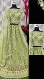 Stylish Pista-colored net Lehenga Choli with embroidered top and dupatta, ideal for regular occasions, free size with extra inner and 2.5m dupatta length, handcrafted by GOPINATH HAND WORK in India