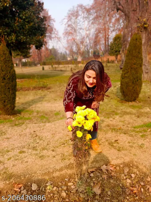 Wine velvet embroidered kurti, three-quarter sleeves, trendy winter wear, India