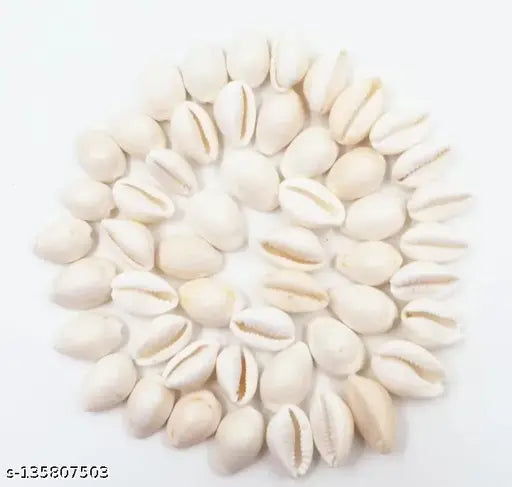 White ABS Aashirwad Collection KodiLaxmi Cowries for Lakshmi and Diwali Pooja, Indian religious decor