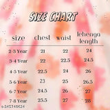 Embellished organza lehenga choli for kids, sleeveless & stitched net. Size: 2-3 years. Indian children's traditional wear